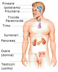 Prenditi 10 minuti per iniziare con turinabol bodybuilding