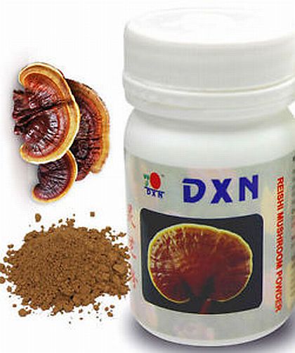 dxn mushroom