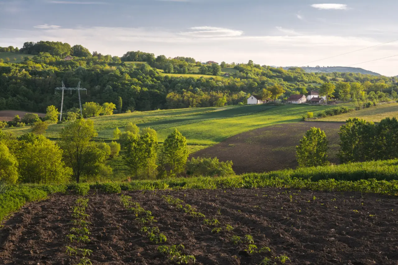Stai sottovalutando il valore del tuo terreno agricolo: ecco le cifre attuali che ti sorprendono