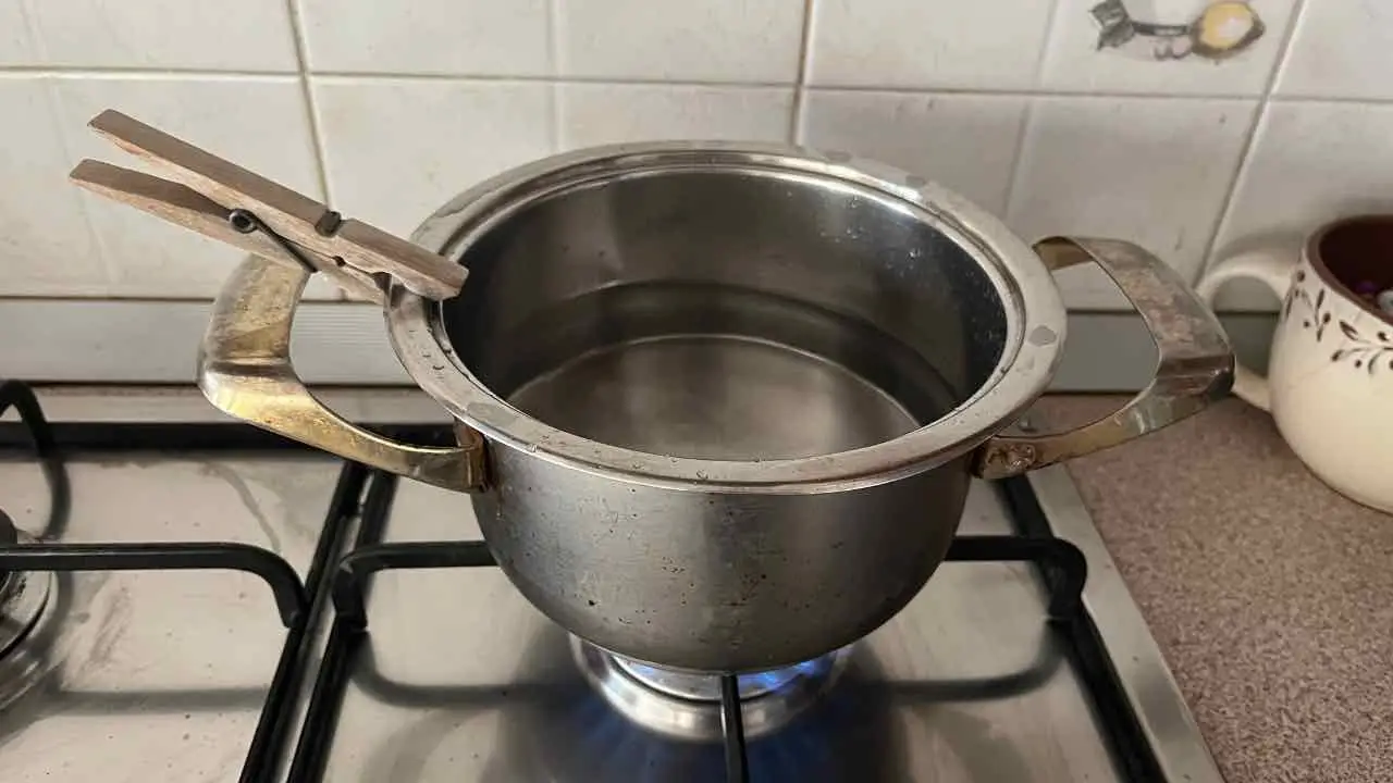 Non buttare l’acqua di cottura: ecco come usarla per far rinascere le piante del tuo balcone