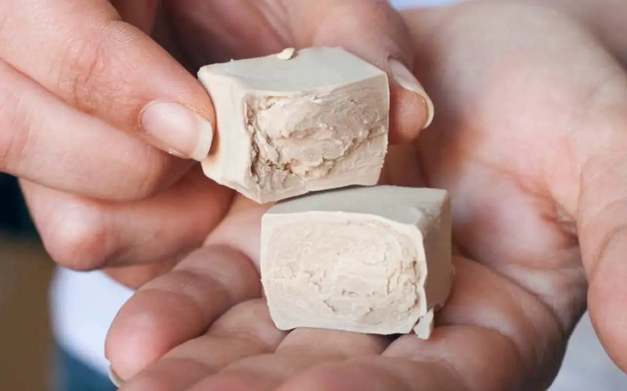 Pane fatto in casa senza lievito: ecco il trucco segreto per farlo crescere lo stesso