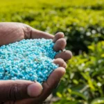 Piante bloccate? Usa subito questo fertilizzante naturale segreto per una crescita esplosiva