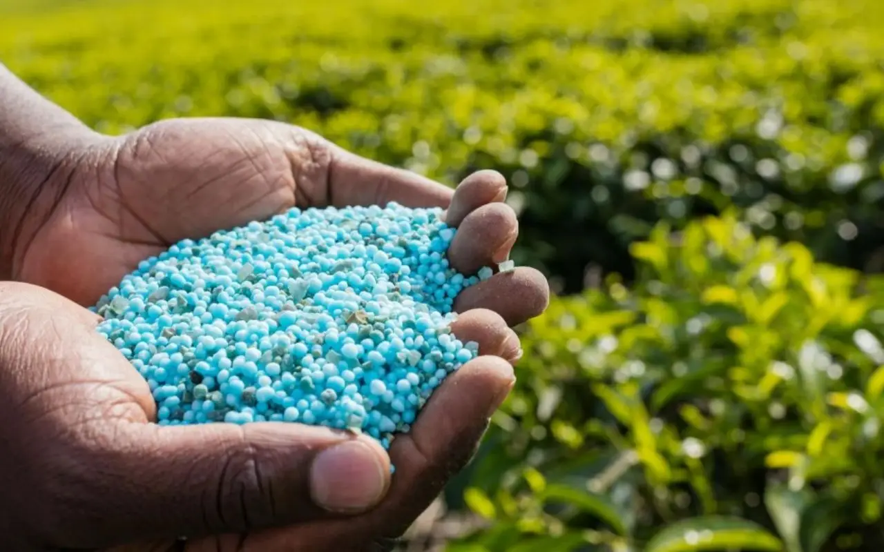 Piante bloccate? Usa subito questo fertilizzante naturale segreto per una crescita esplosiva