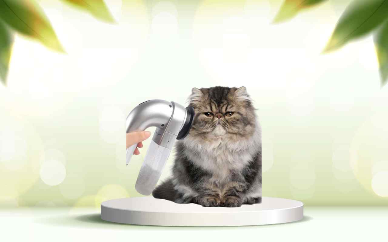 SpazzolAmica: elimina i peli degli animali e migliora la pulizia di casa tua